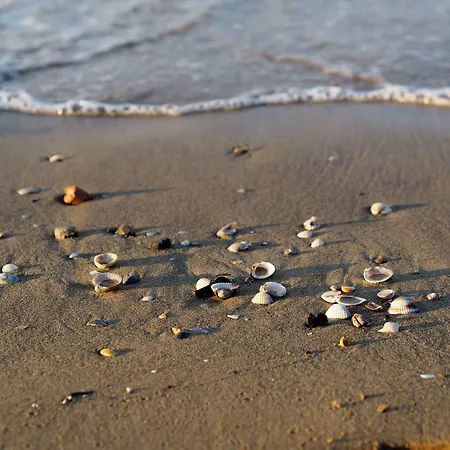 Enjoy A Charming Lateral Sea View * Bibione